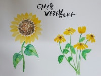 취미·문화 레슨 과외:  시각적으로 강한 캘리 기초부터 가르쳐드립니다 크몽