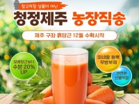 SNS 마케팅 - 크몽 서비스 검색