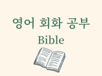 영어회화 - 크몽 서비스 검색