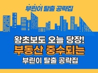 왕초보도이기는부동산경매 - 크몽 서비스 검색
