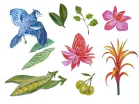 일러스트·삽화 외주:  감성적인 색연필, 수채화 일러스트, 삽화 그려드립니다 크몽