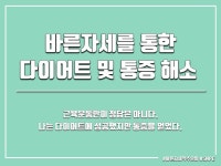 올바른자세로 통증을 케어하며 살까지 빼는 방법을 지도해 드립니다. | 10000원부터 시작 가능한 총 평점 5점의 취미, 헬스·PT 레슨 서비스... 