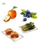 일러스트·캐리커쳐 외주:  따뜻한 수채화일러스트 그려드립니다 크몽