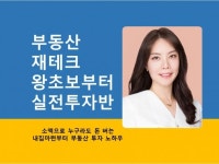부동산 재테크 왕기초부터 실전투자반 - 크몽
