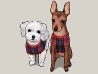 반려동물초상화 - 크몽 서비스 검색