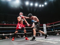 복싱 - 크몽 서비스 검색