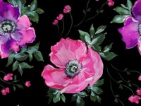 캐릭터∙일러스트, 포토샵 편집 전문가 보석상자 - 크몽