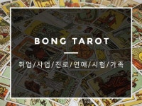 타로:  [BTBONG] 봉타로가 당신의 마음을 편안하게 해드립니다 크몽