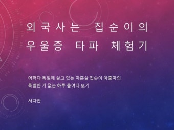 외국어 전문가 서다안 - 크몽