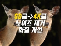 영상촬영·편집, 사진촬영·편집 전문가 sargon - 크몽