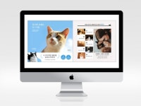 웹·모바일 디자인, 마케팅 디자인 전문가 SunnyCompany - 크몽