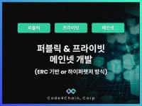 블록체인 퍼블릭 및 프라이빗 메인넷 개발 - 크몽