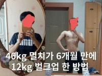 카피라이팅, 마케팅 글쓰기 전문가 버킷라이터 - 크몽