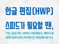 PPT·인포그래픽, 문서서식·폼 전문가 플러스한글 - 크몽