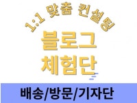 블로그 방문자 - 크몽 서비스 검색