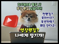 자막 - 크몽 서비스 검색