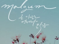 캘리그라피 외주:  그냥 캘리그라피가 아닙니다. 당신의 감성을 글씨로 그려드립니다 크몽