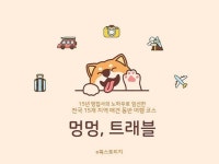 1인여행사 - 크몽 서비스 검색