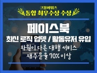 기타 SNS 채널 관리, 광고(퍼포먼스) 전문가 에이치앤에이 - 크몽