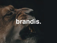 웹·모바일 디자인, 로고디자인 전문가 brandis - 크몽