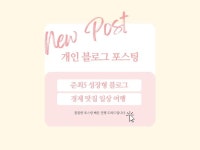 마케팅 분석∙전략, 기타 SNS 채널 관리 전문가 개인블로거냥 - 크몽