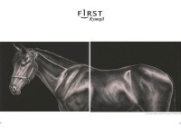 내 집 - 크몽 서비스 검색