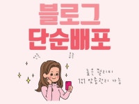 N블로그 - 크몽 서비스 검색