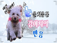 SNS 마케팅 - 크몽 서비스 검색