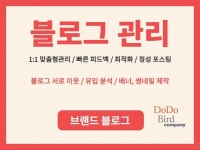 광고(퍼포먼스) 전문가 도도버드AD - 크몽