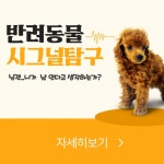 상세페이지·배너 외주:  간단한 배너 및 상세페이지 디자인을 만족스럽게 전달해드립니다 크몽