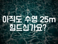 수영 부산 - 크몽 서비스 검색
