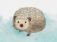 수채화 일러스트 - 크몽 서비스 검색