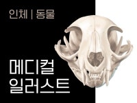 동물병원 - 크몽 서비스 검색