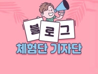 광고(퍼포먼스), 바이럴∙체험단 전문가 링크와이드 - 크몽