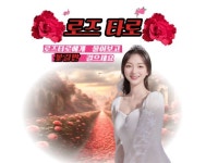 외국어, 타로 전문가 영어멘탈전문가로즈샘 - 크몽