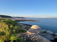 사주 전문가 명리탐구생활 - 크몽