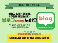 블로그 조회수 - 크몽 서비스 검색