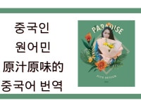 중국어 통역사 - 크몽 서비스 검색