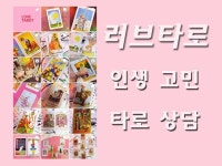 타로 전문가 러브TAROT - 크몽