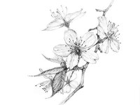 인체드로잉,소묘,크로키 주문작업 - 크몽