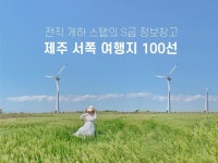 제주 여행 - 크몽 서비스 검색