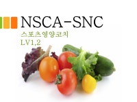 헬스·PT 레슨 전문가 KWAKDUST - 크몽