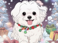 반려견초상화 - 크몽 서비스 검색