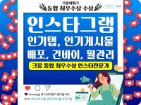 기타 SNS 채널 관리, 광고(퍼포먼스) 전문가 에이치앤에이 - 크몽