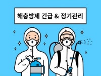 오성에버린 - 크몽 서비스 검색