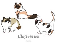 일러스트·삽화 외주:  원하는 느낌의 일러스트 그려드립니다 크몽