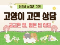 반려동물 케어 전문가 라라쿠키 - 크몽