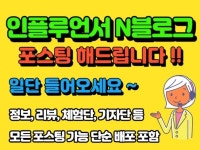 N블로그 - 크몽 서비스 검색