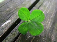 직업상담 - 크몽 서비스 검색