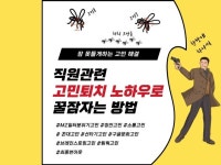 HR·기업문화 전문가 펄다연연구소장 - 크몽